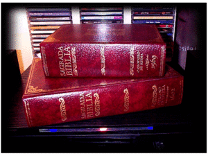 LA BIBLIA DEL OSO