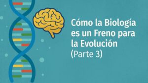 Cómo la Biología es un Freno para la Evolución (Parte 3)